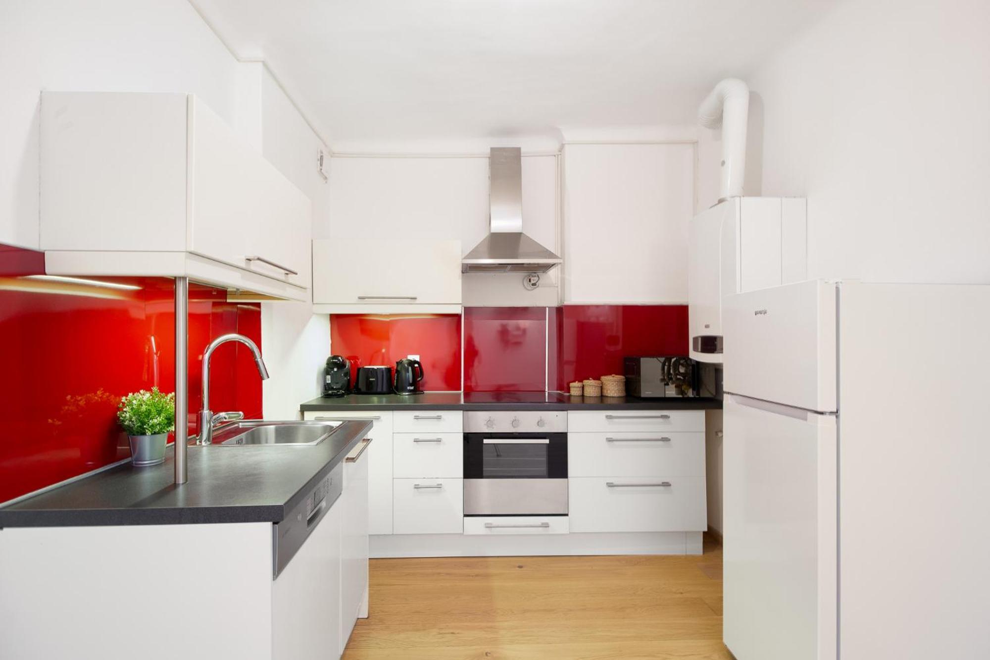 Apartment Ballgasse ウィーン エクステリア 写真