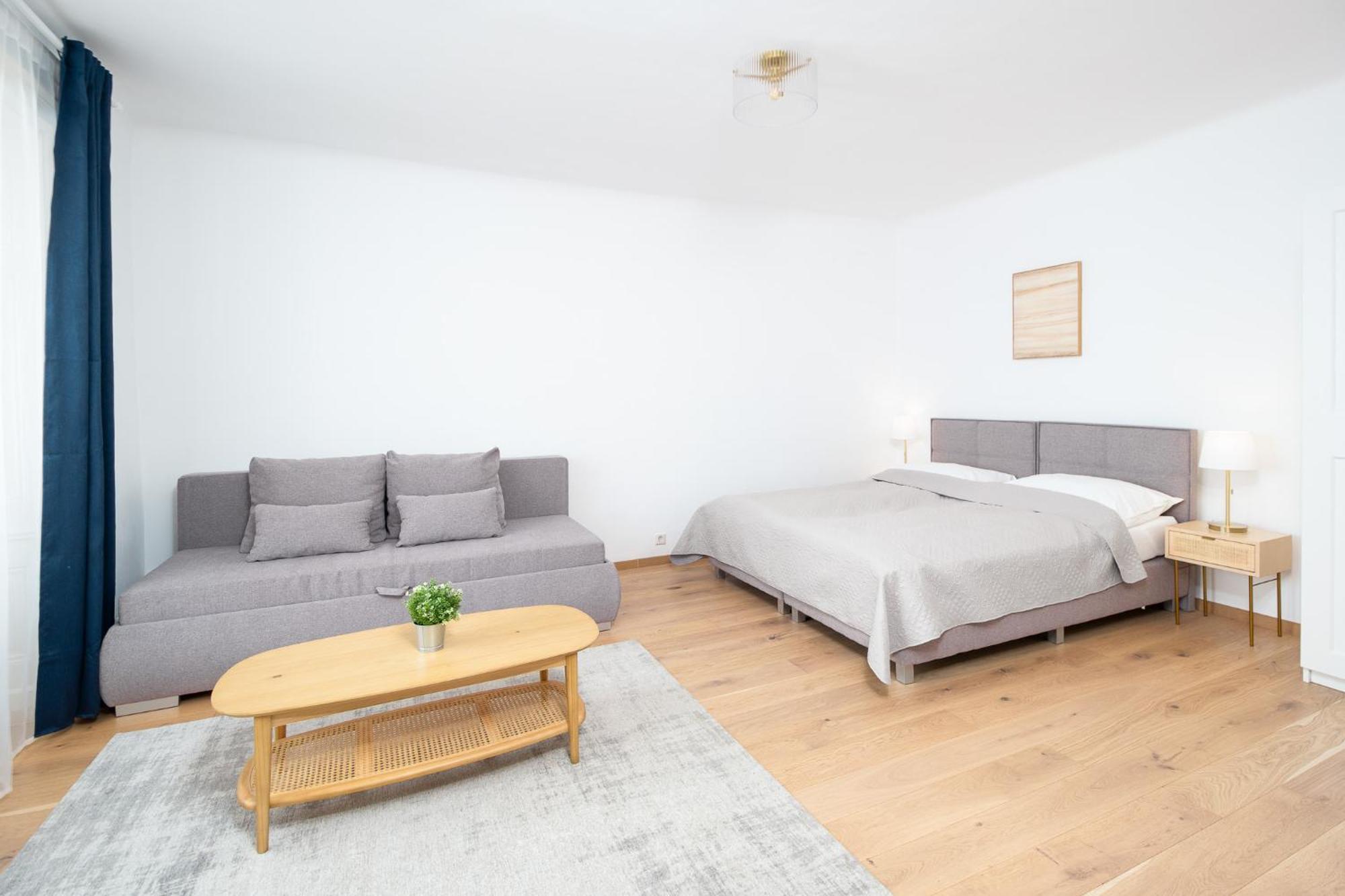 Apartment Ballgasse ウィーン エクステリア 写真